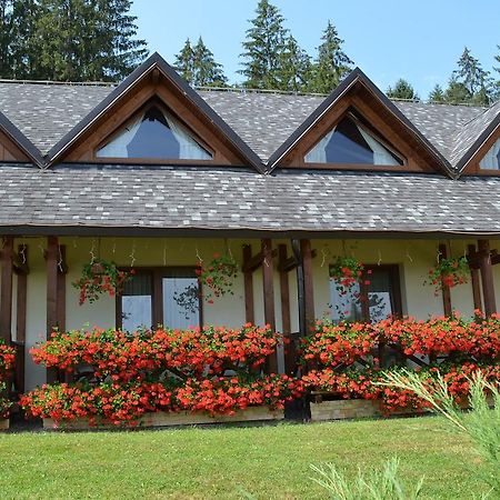 Pensiunea Inima Bucovinei Frasin Esterno foto